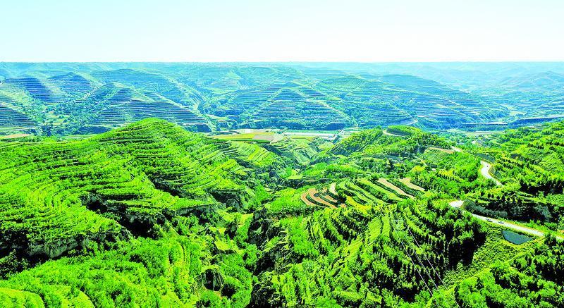 《隴東報》特刊·生態慶陽 | 繪生態底色 筑幸福家園——慶陽市多縣聯動推進生態文明建設