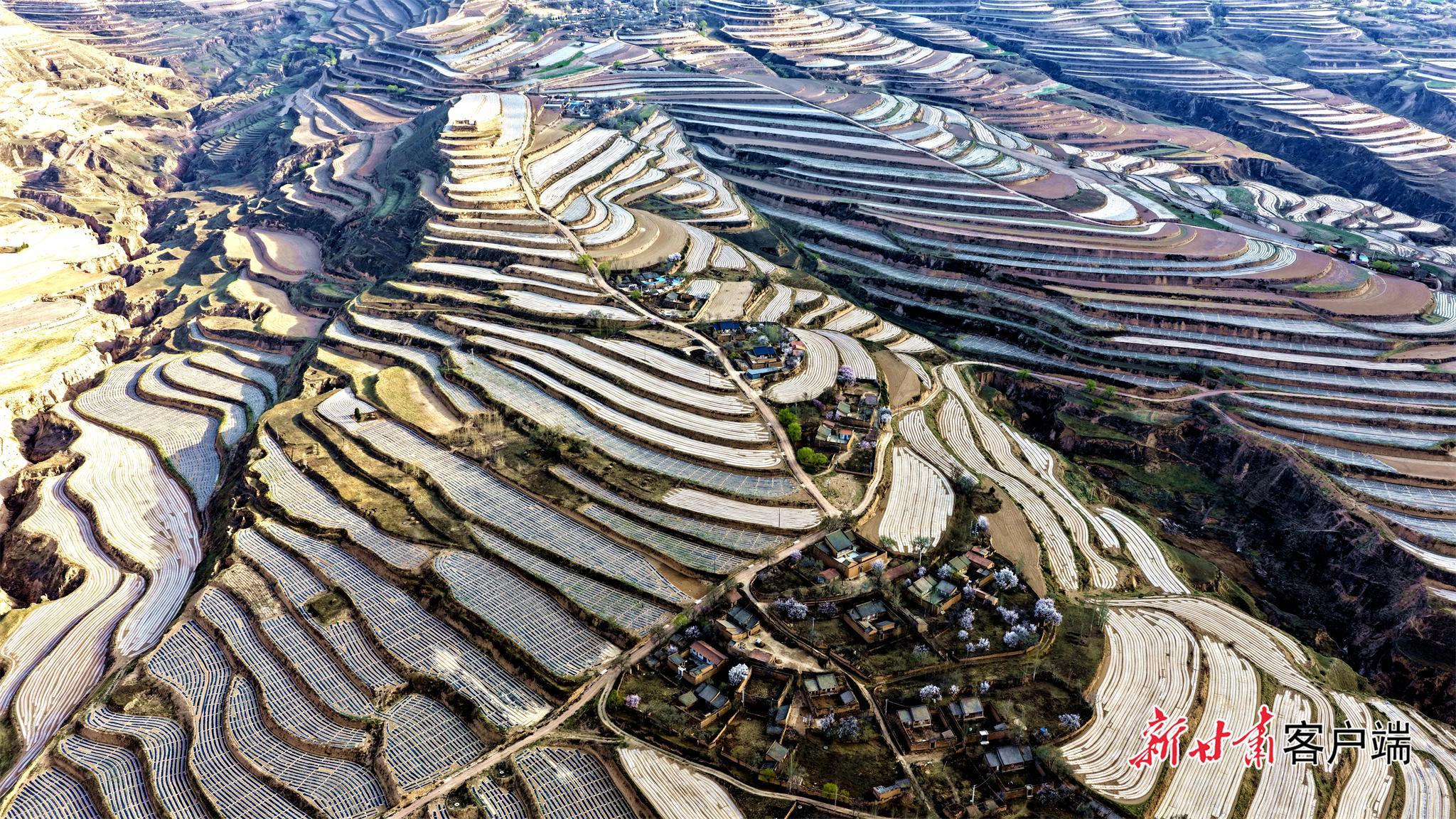 守牢耕地紅線 筑牢振興根基——定西市全方位構建耕地保護新格局