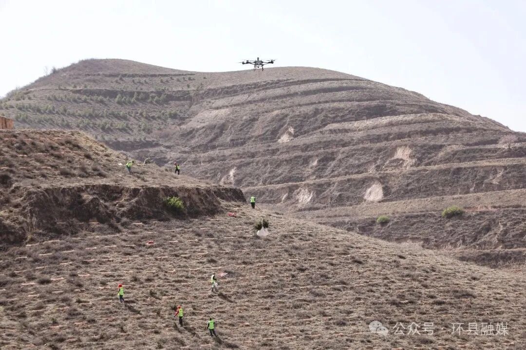 科技種綠 從嚴護綠  環縣繪就“綠進沙退”新畫卷