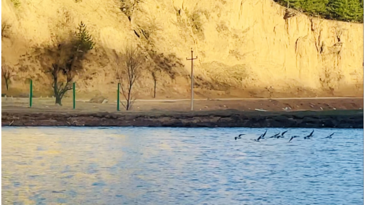 甘肅慶陽西峰：從“候鳥驛站”到“生態(tài)家園”的蛻變