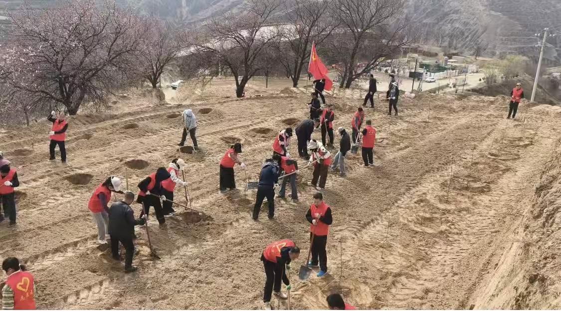 慶城：以“黨建+”模式激活春耕生產“紅色動能”