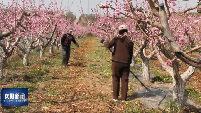 《慶陽(yáng)新聞》2026年4月16日
