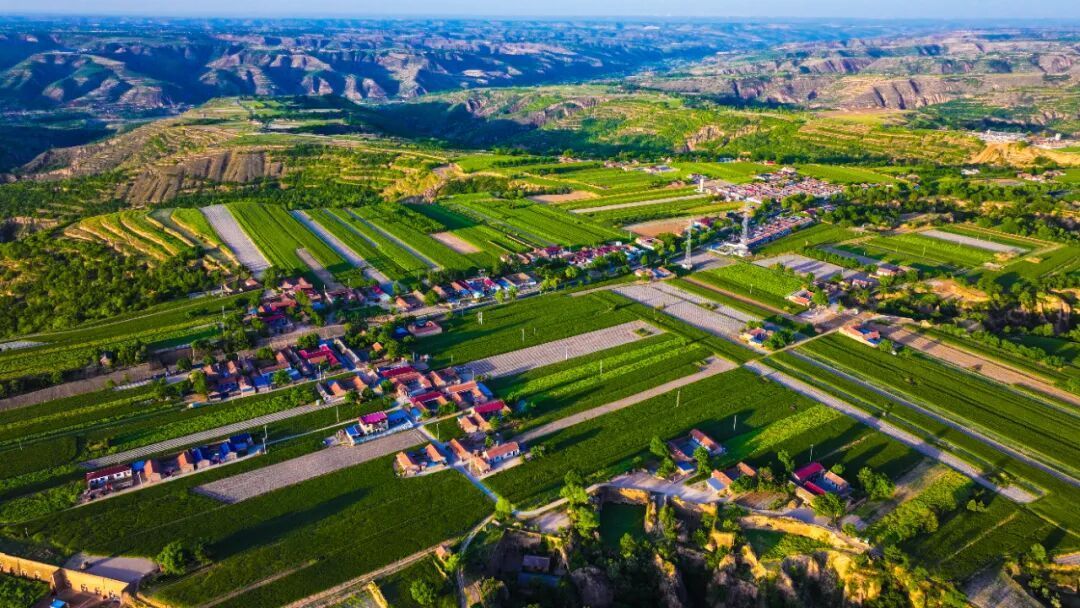 顏值與價值齊升 生態與民生共美——鎮原縣深入推進人居環境工作筑牢鄉村振興根基